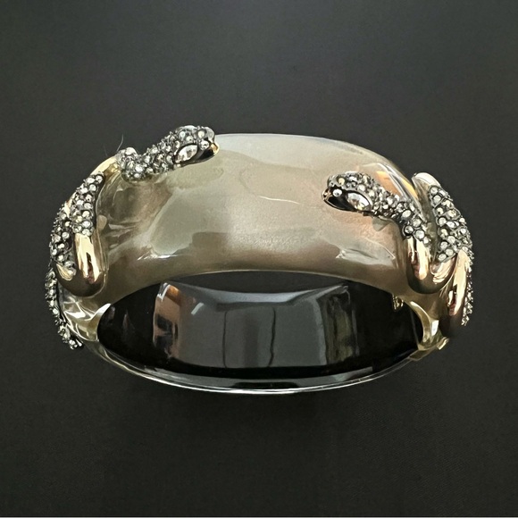 Alexis Bittar Richly Embellished, Hinged, Lucite Bangle...